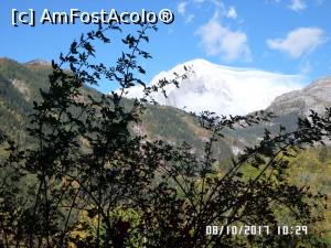 [P09] Și ca și cum nu era destul de admirat, Mont Blanc își așterne văluri parcă ireale » foto by Alina53
 - 
<span class="allrVoted glyphicon glyphicon-heart hidden" id="av914283"></span>
<a class="m-l-10 hidden" id="sv914283" onclick="voting_Foto_DelVot(,914283,22914)" role="button">șterge vot <span class="glyphicon glyphicon-remove"></span></a>
<a id="v9914283" class=" c-red"  onclick="voting_Foto_SetVot(914283)" role="button"><span class="glyphicon glyphicon-heart-empty"></span> <b>LIKE</b> = Votează poza</a> <img class="hidden"  id="f914283W9" src="/imagini/loader.gif" border="0" /><span class="AjErrMes hidden" id="e914283ErM"></span>