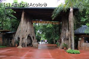 [P69] Puerto de Iguazu, La Aripuca, Intrarea străjuită de doi copaci de 500 și 1000 de ani » foto by mprofeanu
 - 
<span class="allrVoted glyphicon glyphicon-heart hidden" id="av1050219"></span>
<a class="m-l-10 hidden" id="sv1050219" onclick="voting_Foto_DelVot(,1050219,22921)" role="button">șterge vot <span class="glyphicon glyphicon-remove"></span></a>
<a id="v91050219" class=" c-red"  onclick="voting_Foto_SetVot(1050219)" role="button"><span class="glyphicon glyphicon-heart-empty"></span> <b>LIKE</b> = Votează poza</a> <img class="hidden"  id="f1050219W9" src="/imagini/loader.gif" border="0" /><span class="AjErrMes hidden" id="e1050219ErM"></span>