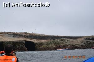 [P12] Colonie de pinguini Humboldt - navetisti din Tara de Foc » foto by Pușcașu Marin
 - 
<span class="allrVoted glyphicon glyphicon-heart hidden" id="av916107"></span>
<a class="m-l-10 hidden" id="sv916107" onclick="voting_Foto_DelVot(,916107,22927)" role="button">șterge vot <span class="glyphicon glyphicon-remove"></span></a>
<a id="v9916107" class=" c-red"  onclick="voting_Foto_SetVot(916107)" role="button"><span class="glyphicon glyphicon-heart-empty"></span> <b>LIKE</b> = Votează poza</a> <img class="hidden"  id="f916107W9" src="/imagini/loader.gif" border="0" /><span class="AjErrMes hidden" id="e916107ErM"></span>