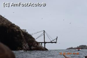 [P17] La aceasta rampa andocheaza vasele care incarca guano » foto by Pușcașu Marin
 - 
<span class="allrVoted glyphicon glyphicon-heart hidden" id="av916112"></span>
<a class="m-l-10 hidden" id="sv916112" onclick="voting_Foto_DelVot(,916112,22927)" role="button">șterge vot <span class="glyphicon glyphicon-remove"></span></a>
<a id="v9916112" class=" c-red"  onclick="voting_Foto_SetVot(916112)" role="button"><span class="glyphicon glyphicon-heart-empty"></span> <b>LIKE</b> = Votează poza</a> <img class="hidden"  id="f916112W9" src="/imagini/loader.gif" border="0" /><span class="AjErrMes hidden" id="e916112ErM"></span>
