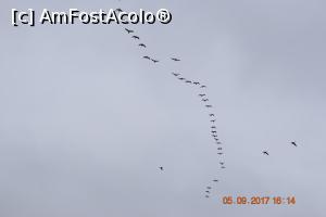 [P19] Cand se trece pe sub astfel de stoluri e bine sa aveti capul acoperit :)  » foto by Pușcașu Marin
 - 
<span class="allrVoted glyphicon glyphicon-heart hidden" id="av916114"></span>
<a class="m-l-10 hidden" id="sv916114" onclick="voting_Foto_DelVot(,916114,22927)" role="button">șterge vot <span class="glyphicon glyphicon-remove"></span></a>
<a id="v9916114" class=" c-red"  onclick="voting_Foto_SetVot(916114)" role="button"><span class="glyphicon glyphicon-heart-empty"></span> <b>LIKE</b> = Votează poza</a> <img class="hidden"  id="f916114W9" src="/imagini/loader.gif" border="0" /><span class="AjErrMes hidden" id="e916114ErM"></span>
