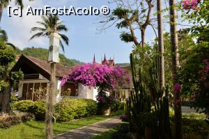 [P02]  -- <small>// FĂRĂ DESCRIERE</small> » foto by Kyandra
 - 
<span class="allrVoted glyphicon glyphicon-heart hidden" id="av916491"></span>
<a class="m-l-10 hidden" id="sv916491" onclick="voting_Foto_DelVot(,916491,22936)" role="button">șterge vot <span class="glyphicon glyphicon-remove"></span></a>
<a id="v9916491" class=" c-red"  onclick="voting_Foto_SetVot(916491)" role="button"><span class="glyphicon glyphicon-heart-empty"></span> <b>LIKE</b> = Votează poza</a> <img class="hidden"  id="f916491W9" src="/imagini/loader.gif" border="0" /><span class="AjErrMes hidden" id="e916491ErM"></span>