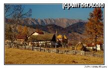 [P08] Firescul rural la poale de Crai » foto by private_rayen
 - 
<span class="allrVoted glyphicon glyphicon-heart hidden" id="av281546"></span>
<a class="m-l-10 hidden" id="sv281546" onclick="voting_Foto_DelVot(,281546,22949)" role="button">șterge vot <span class="glyphicon glyphicon-remove"></span></a>
<a id="v9281546" class=" c-red"  onclick="voting_Foto_SetVot(281546)" role="button"><span class="glyphicon glyphicon-heart-empty"></span> <b>LIKE</b> = Votează poza</a> <img class="hidden"  id="f281546W9" src="/imagini/loader.gif" border="0" /><span class="AjErrMes hidden" id="e281546ErM"></span>