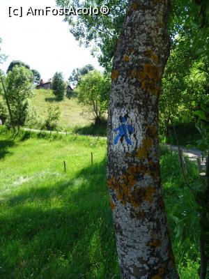 [P04] Marcaj traseu „Hoinărind prin Șirnea”. » foto by tata123 🔱
 - 
<span class="allrVoted glyphicon glyphicon-heart hidden" id="av1171444"></span>
<a class="m-l-10 hidden" id="sv1171444" onclick="voting_Foto_DelVot(,1171444,22949)" role="button">șterge vot <span class="glyphicon glyphicon-remove"></span></a>
<a id="v91171444" class=" c-red"  onclick="voting_Foto_SetVot(1171444)" role="button"><span class="glyphicon glyphicon-heart-empty"></span> <b>LIKE</b> = Votează poza</a> <img class="hidden"  id="f1171444W9" src="/imagini/loader.gif" border="0" /><span class="AjErrMes hidden" id="e1171444ErM"></span>