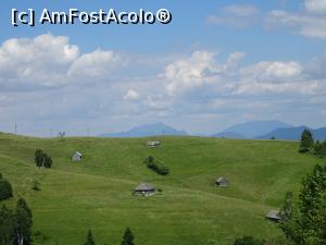 [P06] Odăi în Șirnea. » foto by tata123 🔱
 - 
<span class="allrVoted glyphicon glyphicon-heart hidden" id="av1171446"></span>
<a class="m-l-10 hidden" id="sv1171446" onclick="voting_Foto_DelVot(,1171446,22949)" role="button">șterge vot <span class="glyphicon glyphicon-remove"></span></a>
<a id="v91171446" class=" c-red"  onclick="voting_Foto_SetVot(1171446)" role="button"><span class="glyphicon glyphicon-heart-empty"></span> <b>LIKE</b> = Votează poza</a> <img class="hidden"  id="f1171446W9" src="/imagini/loader.gif" border="0" /><span class="AjErrMes hidden" id="e1171446ErM"></span>