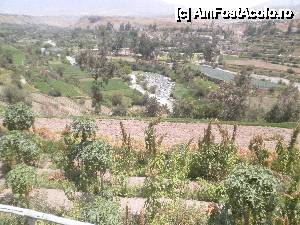 [P07] 'Arequipa - orasul alb al Perului' / culturi de papaya, acei pomisori si coca, cele cu pamatuful in varf » foto by grecudoina
 - 
<span class="allrVoted glyphicon glyphicon-heart hidden" id="av399324"></span>
<a class="m-l-10 hidden" id="sv399324" onclick="voting_Foto_DelVot(,399324,22954)" role="button">șterge vot <span class="glyphicon glyphicon-remove"></span></a>
<a id="v9399324" class=" c-red"  onclick="voting_Foto_SetVot(399324)" role="button"><span class="glyphicon glyphicon-heart-empty"></span> <b>LIKE</b> = Votează poza</a> <img class="hidden"  id="f399324W9" src="/imagini/loader.gif" border="0" /><span class="AjErrMes hidden" id="e399324ErM"></span>
