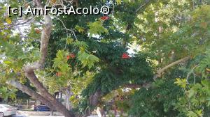 [P13] De asta e Grecia așa frumoasă » foto by Dabator
 - 
<span class="allrVoted glyphicon glyphicon-heart hidden" id="av918696"></span>
<a class="m-l-10 hidden" id="sv918696" onclick="voting_Foto_DelVot(,918696,22970)" role="button">șterge vot <span class="glyphicon glyphicon-remove"></span></a>
<a id="v9918696" class=" c-red"  onclick="voting_Foto_SetVot(918696)" role="button"><span class="glyphicon glyphicon-heart-empty"></span> <b>LIKE</b> = Votează poza</a> <img class="hidden"  id="f918696W9" src="/imagini/loader.gif" border="0" /><span class="AjErrMes hidden" id="e918696ErM"></span>