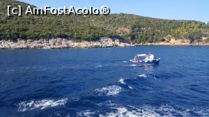 [P15] Taxi boat. Spre Mikro » foto by Dabator
 - 
<span class="allrVoted glyphicon glyphicon-heart hidden" id="av918698"></span>
<a class="m-l-10 hidden" id="sv918698" onclick="voting_Foto_DelVot(,918698,22970)" role="button">șterge vot <span class="glyphicon glyphicon-remove"></span></a>
<a id="v9918698" class=" c-red"  onclick="voting_Foto_SetVot(918698)" role="button"><span class="glyphicon glyphicon-heart-empty"></span> <b>LIKE</b> = Votează poza</a> <img class="hidden"  id="f918698W9" src="/imagini/loader.gif" border="0" /><span class="AjErrMes hidden" id="e918698ErM"></span>