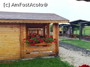 [P01]  -- <small>// FĂRĂ DESCRIERE</small> » foto by Sabac
 - 
<span class="allrVoted glyphicon glyphicon-heart hidden" id="av1092307"></span>
<a class="m-l-10 hidden" id="sv1092307" onclick="voting_Foto_DelVot(,1092307,23003)" role="button">șterge vot <span class="glyphicon glyphicon-remove"></span></a>
<a id="v91092307" class=" c-red"  onclick="voting_Foto_SetVot(1092307)" role="button"><span class="glyphicon glyphicon-heart-empty"></span> <b>LIKE</b> = Votează poza</a> <img class="hidden"  id="f1092307W9" src="/imagini/loader.gif" border="0" /><span class="AjErrMes hidden" id="e1092307ErM"></span>