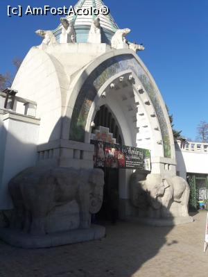 [P08] Budapesta, Zoo [2016] » foto by Adrian.TM
 - 
<span class="allrVoted glyphicon glyphicon-heart hidden" id="av921783"></span>
<a class="m-l-10 hidden" id="sv921783" onclick="voting_Foto_DelVot(,921783,23035)" role="button">șterge vot <span class="glyphicon glyphicon-remove"></span></a>
<a id="v9921783" class=" c-red"  onclick="voting_Foto_SetVot(921783)" role="button"><span class="glyphicon glyphicon-heart-empty"></span> <b>LIKE</b> = Votează poza</a> <img class="hidden"  id="f921783W9" src="/imagini/loader.gif" border="0" /><span class="AjErrMes hidden" id="e921783ErM"></span>