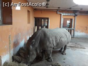 [P09] Budapesta, Zoo [2016] » foto by Adrian.TM
 - 
<span class="allrVoted glyphicon glyphicon-heart hidden" id="av921785"></span>
<a class="m-l-10 hidden" id="sv921785" onclick="voting_Foto_DelVot(,921785,23035)" role="button">șterge vot <span class="glyphicon glyphicon-remove"></span></a>
<a id="v9921785" class=" c-red"  onclick="voting_Foto_SetVot(921785)" role="button"><span class="glyphicon glyphicon-heart-empty"></span> <b>LIKE</b> = Votează poza</a> <img class="hidden"  id="f921785W9" src="/imagini/loader.gif" border="0" /><span class="AjErrMes hidden" id="e921785ErM"></span>