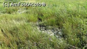 [P13] Crăpături lungi și adânci în crusta noroioasă din caldera vulcanului 1.  » foto by Lucien
 - 
<span class="allrVoted glyphicon glyphicon-heart hidden" id="av964751"></span>
<a class="m-l-10 hidden" id="sv964751" onclick="voting_Foto_DelVot(,964751,23038)" role="button">șterge vot <span class="glyphicon glyphicon-remove"></span></a>
<a id="v9964751" class=" c-red"  onclick="voting_Foto_SetVot(964751)" role="button"><span class="glyphicon glyphicon-heart-empty"></span> <b>LIKE</b> = Votează poza</a> <img class="hidden"  id="f964751W9" src="/imagini/loader.gif" border="0" /><span class="AjErrMes hidden" id="e964751ErM"></span>