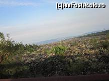 [P22] Urcare pe Etna Sud dupa Zafferana Etnea » foto by le_maitre
 - 
<span class="allrVoted glyphicon glyphicon-heart hidden" id="av324294"></span>
<a class="m-l-10 hidden" id="sv324294" onclick="voting_Foto_DelVot(,324294,23043)" role="button">șterge vot <span class="glyphicon glyphicon-remove"></span></a>
<a id="v9324294" class=" c-red"  onclick="voting_Foto_SetVot(324294)" role="button"><span class="glyphicon glyphicon-heart-empty"></span> <b>LIKE</b> = Votează poza</a> <img class="hidden"  id="f324294W9" src="/imagini/loader.gif" border="0" /><span class="AjErrMes hidden" id="e324294ErM"></span>