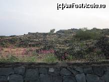 [P29] Coborarea de pe Etna...lava si iar lava plus licheni pe dansa » foto by le_maitre
 - 
<span class="allrVoted glyphicon glyphicon-heart hidden" id="av324301"></span>
<a class="m-l-10 hidden" id="sv324301" onclick="voting_Foto_DelVot(,324301,23043)" role="button">șterge vot <span class="glyphicon glyphicon-remove"></span></a>
<a id="v9324301" class=" c-red"  onclick="voting_Foto_SetVot(324301)" role="button"><span class="glyphicon glyphicon-heart-empty"></span> <b>LIKE</b> = Votează poza</a> <img class="hidden"  id="f324301W9" src="/imagini/loader.gif" border="0" /><span class="AjErrMes hidden" id="e324301ErM"></span>