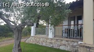 [P10] Balconul si maslinul nostru » foto by DOINITA
 - 
<span class="allrVoted glyphicon glyphicon-heart hidden" id="av922265"></span>
<a class="m-l-10 hidden" id="sv922265" onclick="voting_Foto_DelVot(,922265,23048)" role="button">șterge vot <span class="glyphicon glyphicon-remove"></span></a>
<a id="v9922265" class=" c-red"  onclick="voting_Foto_SetVot(922265)" role="button"><span class="glyphicon glyphicon-heart-empty"></span> <b>LIKE</b> = Votează poza</a> <img class="hidden"  id="f922265W9" src="/imagini/loader.gif" border="0" /><span class="AjErrMes hidden" id="e922265ErM"></span>