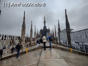 [P19] Domul din Milano; pe acoperiș » foto by crismis
 - 
<span class="allrVoted glyphicon glyphicon-heart hidden" id="av1485167"></span>
<a class="m-l-10 hidden" id="sv1485167" onclick="voting_Foto_DelVot(,1485167,23051)" role="button">șterge vot <span class="glyphicon glyphicon-remove"></span></a>
<a id="v91485167" class=" c-red"  onclick="voting_Foto_SetVot(1485167)" role="button"><span class="glyphicon glyphicon-heart-empty"></span> <b>LIKE</b> = Votează poza</a> <img class="hidden"  id="f1485167W9" src="/imagini/loader.gif" border="0" /><span class="AjErrMes hidden" id="e1485167ErM"></span>