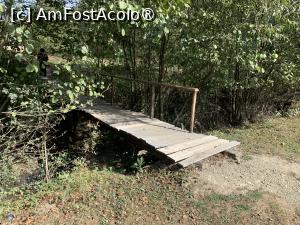 [P04] Podețul de peste râul Cernat spre cetatea Ica » foto by AZE
 - 
<span class="allrVoted glyphicon glyphicon-heart hidden" id="av1391586"></span>
<a class="m-l-10 hidden" id="sv1391586" onclick="voting_Foto_DelVot(,1391586,23060)" role="button">șterge vot <span class="glyphicon glyphicon-remove"></span></a>
<a id="v91391586" class=" c-red"  onclick="voting_Foto_SetVot(1391586)" role="button"><span class="glyphicon glyphicon-heart-empty"></span> <b>LIKE</b> = Votează poza</a> <img class="hidden"  id="f1391586W9" src="/imagini/loader.gif" border="0" /><span class="AjErrMes hidden" id="e1391586ErM"></span>
