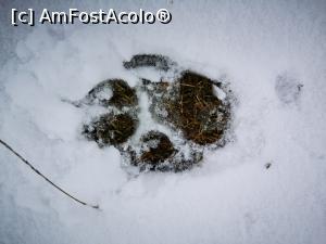[P33] Moș Martin a fost pe-aici! » foto by crismis
 - 
<span class="allrVoted glyphicon glyphicon-heart hidden" id="av1222491"></span>
<a class="m-l-10 hidden" id="sv1222491" onclick="voting_Foto_DelVot(,1222491,23060)" role="button">șterge vot <span class="glyphicon glyphicon-remove"></span></a>
<a id="v91222491" class=" c-red"  onclick="voting_Foto_SetVot(1222491)" role="button"><span class="glyphicon glyphicon-heart-empty"></span> <b>LIKE</b> = Votează poza</a> <img class="hidden"  id="f1222491W9" src="/imagini/loader.gif" border="0" /><span class="AjErrMes hidden" id="e1222491ErM"></span>