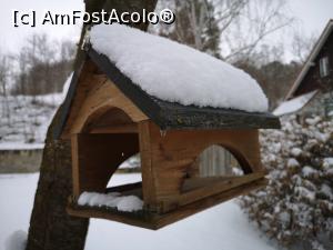 [P47] Peisaj hibernal la Conacul Gaál » foto by crismis
 - 
<span class="allrVoted glyphicon glyphicon-heart hidden" id="av1222505"></span>
<a class="m-l-10 hidden" id="sv1222505" onclick="voting_Foto_DelVot(,1222505,23060)" role="button">șterge vot <span class="glyphicon glyphicon-remove"></span></a>
<a id="v91222505" class=" c-red"  onclick="voting_Foto_SetVot(1222505)" role="button"><span class="glyphicon glyphicon-heart-empty"></span> <b>LIKE</b> = Votează poza</a> <img class="hidden"  id="f1222505W9" src="/imagini/loader.gif" border="0" /><span class="AjErrMes hidden" id="e1222505ErM"></span>