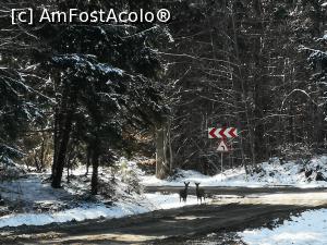 [P50] Căprioare în pădure! » foto by crismis
 - 
<span class="allrVoted glyphicon glyphicon-heart hidden" id="av1222508"></span>
<a class="m-l-10 hidden" id="sv1222508" onclick="voting_Foto_DelVot(,1222508,23060)" role="button">șterge vot <span class="glyphicon glyphicon-remove"></span></a>
<a id="v91222508" class=" c-red"  onclick="voting_Foto_SetVot(1222508)" role="button"><span class="glyphicon glyphicon-heart-empty"></span> <b>LIKE</b> = Votează poza</a> <img class="hidden"  id="f1222508W9" src="/imagini/loader.gif" border="0" /><span class="AjErrMes hidden" id="e1222508ErM"></span>