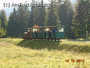 [P13] Cu trenulețul spre “Planul înclinat' » foto by Mitica49
 - 
<span class="allrVoted glyphicon glyphicon-heart hidden" id="av922917"></span>
<a class="m-l-10 hidden" id="sv922917" onclick="voting_Foto_DelVot(,922917,23060)" role="button">șterge vot <span class="glyphicon glyphicon-remove"></span></a>
<a id="v9922917" class=" c-red"  onclick="voting_Foto_SetVot(922917)" role="button"><span class="glyphicon glyphicon-heart-empty"></span> <b>LIKE</b> = Votează poza</a> <img class="hidden"  id="f922917W9" src="/imagini/loader.gif" border="0" /><span class="AjErrMes hidden" id="e922917ErM"></span>