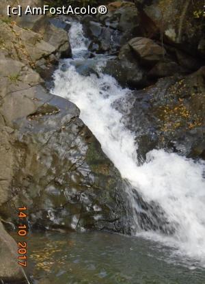 [P17] Prim plan cu cascada » foto by Mitica49
 - 
<span class="allrVoted glyphicon glyphicon-heart hidden" id="av922921"></span>
<a class="m-l-10 hidden" id="sv922921" onclick="voting_Foto_DelVot(,922921,23060)" role="button">șterge vot <span class="glyphicon glyphicon-remove"></span></a>
<a id="v9922921" class=" c-red"  onclick="voting_Foto_SetVot(922921)" role="button"><span class="glyphicon glyphicon-heart-empty"></span> <b>LIKE</b> = Votează poza</a> <img class="hidden"  id="f922921W9" src="/imagini/loader.gif" border="0" /><span class="AjErrMes hidden" id="e922921ErM"></span>