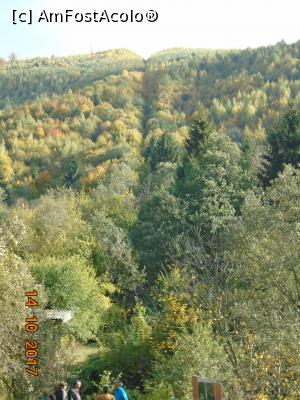 [P22] 'Cărarea' rămasă în pădure după demolarea Planului Înclinat de la Comandau » foto by Mitica49
 - 
<span class="allrVoted glyphicon glyphicon-heart hidden" id="av922926"></span>
<a class="m-l-10 hidden" id="sv922926" onclick="voting_Foto_DelVot(,922926,23060)" role="button">șterge vot <span class="glyphicon glyphicon-remove"></span></a>
<a id="v9922926" class=" c-red"  onclick="voting_Foto_SetVot(922926)" role="button"><span class="glyphicon glyphicon-heart-empty"></span> <b>LIKE</b> = Votează poza</a> <img class="hidden"  id="f922926W9" src="/imagini/loader.gif" border="0" /><span class="AjErrMes hidden" id="e922926ErM"></span>