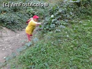 [P38] La cules de fructe de pădure » foto by Mitica49
 - 
<span class="allrVoted glyphicon glyphicon-heart hidden" id="av922945"></span>
<a class="m-l-10 hidden" id="sv922945" onclick="voting_Foto_DelVot(,922945,23060)" role="button">șterge vot <span class="glyphicon glyphicon-remove"></span></a>
<a id="v9922945" class=" c-red"  onclick="voting_Foto_SetVot(922945)" role="button"><span class="glyphicon glyphicon-heart-empty"></span> <b>LIKE</b> = Votează poza</a> <img class="hidden"  id="f922945W9" src="/imagini/loader.gif" border="0" /><span class="AjErrMes hidden" id="e922945ErM"></span>