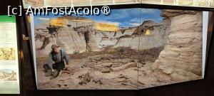 [P10] Dioramă: paleontologul George F. Sternberg și vânătoarea sa de fosile din 1922 din Canada. » foto by tata123 🔱
 - 
<span class="allrVoted glyphicon glyphicon-heart hidden" id="av1422434"></span>
<a class="m-l-10 hidden" id="sv1422434" onclick="voting_Foto_DelVot(,1422434,23064)" role="button">șterge vot <span class="glyphicon glyphicon-remove"></span></a>
<a id="v91422434" class=" c-red"  onclick="voting_Foto_SetVot(1422434)" role="button"><span class="glyphicon glyphicon-heart-empty"></span> <b>LIKE</b> = Votează poza</a> <img class="hidden"  id="f1422434W9" src="/imagini/loader.gif" border="0" /><span class="AjErrMes hidden" id="e1422434ErM"></span>