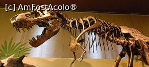 [P11] Tyrannosaurus Rex. » foto by tata123 🔱
 - 
<span class="allrVoted glyphicon glyphicon-heart hidden" id="av1422435"></span>
<a class="m-l-10 hidden" id="sv1422435" onclick="voting_Foto_DelVot(,1422435,23064)" role="button">șterge vot <span class="glyphicon glyphicon-remove"></span></a>
<a id="v91422435" class=" c-red"  onclick="voting_Foto_SetVot(1422435)" role="button"><span class="glyphicon glyphicon-heart-empty"></span> <b>LIKE</b> = Votează poza</a> <img class="hidden"  id="f1422435W9" src="/imagini/loader.gif" border="0" /><span class="AjErrMes hidden" id="e1422435ErM"></span>