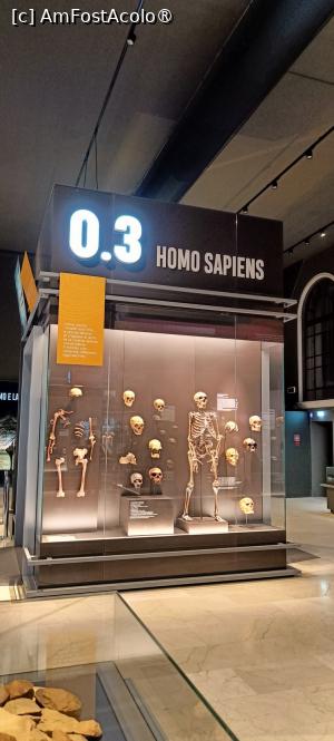 [P16] Istoria evoluției omului. » foto by tata123 🔱
 - 
<span class="allrVoted glyphicon glyphicon-heart hidden" id="av1422440"></span>
<a class="m-l-10 hidden" id="sv1422440" onclick="voting_Foto_DelVot(,1422440,23064)" role="button">șterge vot <span class="glyphicon glyphicon-remove"></span></a>
<a id="v91422440" class=" c-red"  onclick="voting_Foto_SetVot(1422440)" role="button"><span class="glyphicon glyphicon-heart-empty"></span> <b>LIKE</b> = Votează poza</a> <img class="hidden"  id="f1422440W9" src="/imagini/loader.gif" border="0" /><span class="AjErrMes hidden" id="e1422440ErM"></span>