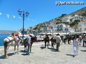 [P11] Hydra: De aici sunt agățați turisții ce îşi doresc plimbarea cu bietele animale. » foto by Dabator
 - 
<span class="allrVoted glyphicon glyphicon-heart hidden" id="av618301"></span>
<a class="m-l-10 hidden" id="sv618301" onclick="voting_Foto_DelVot(,618301,23081)" role="button">șterge vot <span class="glyphicon glyphicon-remove"></span></a>
<a id="v9618301" class=" c-red"  onclick="voting_Foto_SetVot(618301)" role="button"><span class="glyphicon glyphicon-heart-empty"></span> <b>LIKE</b> = Votează poza</a> <img class="hidden"  id="f618301W9" src="/imagini/loader.gif" border="0" /><span class="AjErrMes hidden" id="e618301ErM"></span>