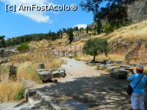 [P09] Calea sacra » foto by xpac
 - 
<span class="allrVoted glyphicon glyphicon-heart hidden" id="av924653"></span>
<a class="m-l-10 hidden" id="sv924653" onclick="voting_Foto_DelVot(,924653,23081)" role="button">șterge vot <span class="glyphicon glyphicon-remove"></span></a>
<a id="v9924653" class=" c-red"  onclick="voting_Foto_SetVot(924653)" role="button"><span class="glyphicon glyphicon-heart-empty"></span> <b>LIKE</b> = Votează poza</a> <img class="hidden"  id="f924653W9" src="/imagini/loader.gif" border="0" /><span class="AjErrMes hidden" id="e924653ErM"></span>
