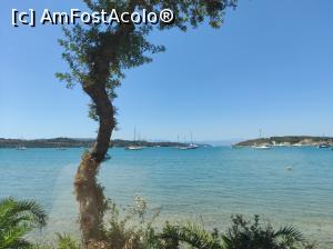 [P19] Porto Cheli » foto by ilee
 - 
<span class="allrVoted glyphicon glyphicon-heart hidden" id="av1309934"></span>
<a class="m-l-10 hidden" id="sv1309934" onclick="voting_Foto_DelVot(,1309934,23081)" role="button">șterge vot <span class="glyphicon glyphicon-remove"></span></a>
<a id="v91309934" class=" c-red"  onclick="voting_Foto_SetVot(1309934)" role="button"><span class="glyphicon glyphicon-heart-empty"></span> <b>LIKE</b> = Votează poza</a> <img class="hidden"  id="f1309934W9" src="/imagini/loader.gif" border="0" /><span class="AjErrMes hidden" id="e1309934ErM"></span>