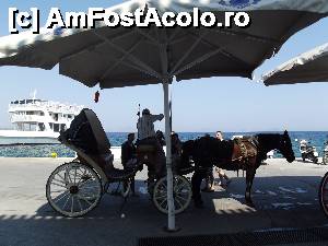 [P39] Prin Spetses cu trăsuri » foto by irinad
 - 
<span class="allrVoted glyphicon glyphicon-heart hidden" id="av711148"></span>
<a class="m-l-10 hidden" id="sv711148" onclick="voting_Foto_DelVot(,711148,23081)" role="button">șterge vot <span class="glyphicon glyphicon-remove"></span></a>
<a id="v9711148" class=" c-red"  onclick="voting_Foto_SetVot(711148)" role="button"><span class="glyphicon glyphicon-heart-empty"></span> <b>LIKE</b> = Votează poza</a> <img class="hidden"  id="f711148W9" src="/imagini/loader.gif" border="0" /><span class="AjErrMes hidden" id="e711148ErM"></span>