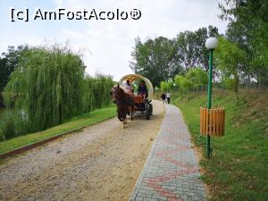[P11] Trăsura cu care poți face plimbări prin complex » foto by crismis
 - 
<span class="allrVoted glyphicon glyphicon-heart hidden" id="av1173310"></span>
<a class="m-l-10 hidden" id="sv1173310" onclick="voting_Foto_DelVot(,1173310,23090)" role="button">șterge vot <span class="glyphicon glyphicon-remove"></span></a>
<a id="v91173310" class=" c-red"  onclick="voting_Foto_SetVot(1173310)" role="button"><span class="glyphicon glyphicon-heart-empty"></span> <b>LIKE</b> = Votează poza</a> <img class="hidden"  id="f1173310W9" src="/imagini/loader.gif" border="0" /><span class="AjErrMes hidden" id="e1173310ErM"></span>