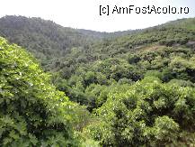 [P13] Natura in toata splendoarea ei. » foto by maryka
 - 
<span class="allrVoted glyphicon glyphicon-heart hidden" id="av230479"></span>
<a class="m-l-10 hidden" id="sv230479" onclick="voting_Foto_DelVot(,230479,23097)" role="button">șterge vot <span class="glyphicon glyphicon-remove"></span></a>
<a id="v9230479" class=" c-red"  onclick="voting_Foto_SetVot(230479)" role="button"><span class="glyphicon glyphicon-heart-empty"></span> <b>LIKE</b> = Votează poza</a> <img class="hidden"  id="f230479W9" src="/imagini/loader.gif" border="0" /><span class="AjErrMes hidden" id="e230479ErM"></span>