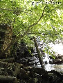 [P37] Cascada si lumina care razbate printre frunze. » foto by maryka
 - 
<span class="allrVoted glyphicon glyphicon-heart hidden" id="av230584"></span>
<a class="m-l-10 hidden" id="sv230584" onclick="voting_Foto_DelVot(,230584,23097)" role="button">șterge vot <span class="glyphicon glyphicon-remove"></span></a>
<a id="v9230584" class=" c-red"  onclick="voting_Foto_SetVot(230584)" role="button"><span class="glyphicon glyphicon-heart-empty"></span> <b>LIKE</b> = Votează poza</a> <img class="hidden"  id="f230584W9" src="/imagini/loader.gif" border="0" /><span class="AjErrMes hidden" id="e230584ErM"></span>