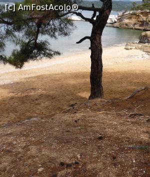[P02] Plaja Salonikios » foto by Nicu
 - 
<span class="allrVoted glyphicon glyphicon-heart hidden" id="av824201"></span>
<a class="m-l-10 hidden" id="sv824201" onclick="voting_Foto_DelVot(,824201,23098)" role="button">șterge vot <span class="glyphicon glyphicon-remove"></span></a>
<a id="v9824201" class=" c-red"  onclick="voting_Foto_SetVot(824201)" role="button"><span class="glyphicon glyphicon-heart-empty"></span> <b>LIKE</b> = Votează poza</a> <img class="hidden"  id="f824201W9" src="/imagini/loader.gif" border="0" /><span class="AjErrMes hidden" id="e824201ErM"></span>