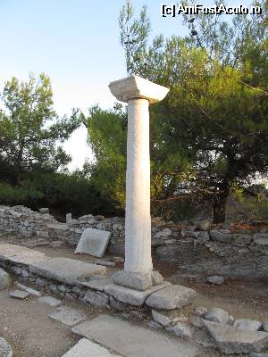 [P12] Situl arheologic Aliki- coloana de marmura in interiorul sanctuarului » foto by luciaoradea
 - 
<span class="allrVoted glyphicon glyphicon-heart hidden" id="av532027"></span>
<a class="m-l-10 hidden" id="sv532027" onclick="voting_Foto_DelVot(,532027,23099)" role="button">șterge vot <span class="glyphicon glyphicon-remove"></span></a>
<a id="v9532027" class=" c-red"  onclick="voting_Foto_SetVot(532027)" role="button"><span class="glyphicon glyphicon-heart-empty"></span> <b>LIKE</b> = Votează poza</a> <img class="hidden"  id="f532027W9" src="/imagini/loader.gif" border="0" /><span class="AjErrMes hidden" id="e532027ErM"></span>