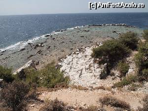 [P30] Vechea cariera de marmura Aliki- vedere a portului de pe coasta » foto by luciaoradea
 - 
<span class="allrVoted glyphicon glyphicon-heart hidden" id="av532051"></span>
<a class="m-l-10 hidden" id="sv532051" onclick="voting_Foto_DelVot(,532051,23099)" role="button">șterge vot <span class="glyphicon glyphicon-remove"></span></a>
<a id="v9532051" class=" c-red"  onclick="voting_Foto_SetVot(532051)" role="button"><span class="glyphicon glyphicon-heart-empty"></span> <b>LIKE</b> = Votează poza</a> <img class="hidden"  id="f532051W9" src="/imagini/loader.gif" border="0" /><span class="AjErrMes hidden" id="e532051ErM"></span>