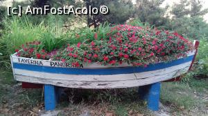 [P02] Barca cu flori de la taverna Panorama » foto by irinad
 - 
<span class="allrVoted glyphicon glyphicon-heart hidden" id="av1024616"></span>
<a class="m-l-10 hidden" id="sv1024616" onclick="voting_Foto_DelVot(,1024616,23102)" role="button">șterge vot <span class="glyphicon glyphicon-remove"></span></a>
<a id="v91024616" class=" c-red"  onclick="voting_Foto_SetVot(1024616)" role="button"><span class="glyphicon glyphicon-heart-empty"></span> <b>LIKE</b> = Votează poza</a> <img class="hidden"  id="f1024616W9" src="/imagini/loader.gif" border="0" /><span class="AjErrMes hidden" id="e1024616ErM"></span>