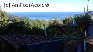 [P41] Taverna Panorama: o privire către mare de la căruţa cu dopuri » foto by irinad
 - 
<span class="allrVoted glyphicon glyphicon-heart hidden" id="av1024666"></span>
<a class="m-l-10 hidden" id="sv1024666" onclick="voting_Foto_DelVot(,1024666,23102)" role="button">șterge vot <span class="glyphicon glyphicon-remove"></span></a>
<a id="v91024666" class=" c-red"  onclick="voting_Foto_SetVot(1024666)" role="button"><span class="glyphicon glyphicon-heart-empty"></span> <b>LIKE</b> = Votează poza</a> <img class="hidden"  id="f1024666W9" src="/imagini/loader.gif" border="0" /><span class="AjErrMes hidden" id="e1024666ErM"></span>