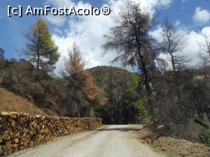 [P35] În drum către Mănăstirea Agios Nikolaos Galataki, lemne stivuite şi păduri arse » foto by irinad
 - 
<span class="allrVoted glyphicon glyphicon-heart hidden" id="av925444"></span>
<a class="m-l-10 hidden" id="sv925444" onclick="voting_Foto_DelVot(,925444,23119)" role="button">șterge vot <span class="glyphicon glyphicon-remove"></span></a>
<a id="v9925444" class=" c-red"  onclick="voting_Foto_SetVot(925444)" role="button"><span class="glyphicon glyphicon-heart-empty"></span> <b>LIKE</b> = Votează poza</a> <img class="hidden"  id="f925444W9" src="/imagini/loader.gif" border="0" /><span class="AjErrMes hidden" id="e925444ErM"></span>