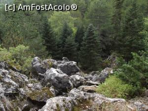[P40] Peisaj lângă cascada Drimona » foto by irinad
 - 
<span class="allrVoted glyphicon glyphicon-heart hidden" id="av925449"></span>
<a class="m-l-10 hidden" id="sv925449" onclick="voting_Foto_DelVot(,925449,23119)" role="button">șterge vot <span class="glyphicon glyphicon-remove"></span></a>
<a id="v9925449" class=" c-red"  onclick="voting_Foto_SetVot(925449)" role="button"><span class="glyphicon glyphicon-heart-empty"></span> <b>LIKE</b> = Votează poza</a> <img class="hidden"  id="f925449W9" src="/imagini/loader.gif" border="0" /><span class="AjErrMes hidden" id="e925449ErM"></span>
