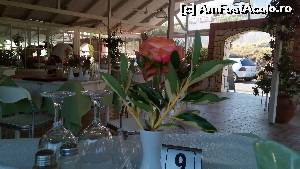 [P01]  -- <small>// FĂRĂ DESCRIERE</small> » foto by noi doi
 - 
<span class="allrVoted glyphicon glyphicon-heart hidden" id="av634833"></span>
<a class="m-l-10 hidden" id="sv634833" onclick="voting_Foto_DelVot(,634833,23122)" role="button">șterge vot <span class="glyphicon glyphicon-remove"></span></a>
<a id="v9634833" class=" c-red"  onclick="voting_Foto_SetVot(634833)" role="button"><span class="glyphicon glyphicon-heart-empty"></span> <b>LIKE</b> = Votează poza</a> <img class="hidden"  id="f634833W9" src="/imagini/loader.gif" border="0" /><span class="AjErrMes hidden" id="e634833ErM"></span>