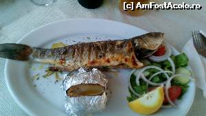 [P09] Seabass » foto by noi doi
 - 
<span class="allrVoted glyphicon glyphicon-heart hidden" id="av634841"></span>
<a class="m-l-10 hidden" id="sv634841" onclick="voting_Foto_DelVot(,634841,23122)" role="button">șterge vot <span class="glyphicon glyphicon-remove"></span></a>
<a id="v9634841" class=" c-red"  onclick="voting_Foto_SetVot(634841)" role="button"><span class="glyphicon glyphicon-heart-empty"></span> <b>LIKE</b> = Votează poza</a> <img class="hidden"  id="f634841W9" src="/imagini/loader.gif" border="0" /><span class="AjErrMes hidden" id="e634841ErM"></span>