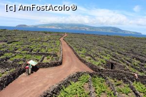 [P25] Insula Pico, Lajido da Criação Velha, aflat în UNESCO, în fundal se vede insula Faial » foto by mprofeanu
 - 
<span class="allrVoted glyphicon glyphicon-heart hidden" id="av979607"></span>
<a class="m-l-10 hidden" id="sv979607" onclick="voting_Foto_DelVot(,979607,23160)" role="button">șterge vot <span class="glyphicon glyphicon-remove"></span></a>
<a id="v9979607" class=" c-red"  onclick="voting_Foto_SetVot(979607)" role="button"><span class="glyphicon glyphicon-heart-empty"></span> <b>LIKE</b> = Votează poza</a> <img class="hidden"  id="f979607W9" src="/imagini/loader.gif" border="0" /><span class="AjErrMes hidden" id="e979607ErM"></span>