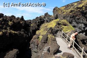 [P34] Insula Pico, Cachorro » foto by mprofeanu
 - 
<span class="allrVoted glyphicon glyphicon-heart hidden" id="av979618"></span>
<a class="m-l-10 hidden" id="sv979618" onclick="voting_Foto_DelVot(,979618,23160)" role="button">șterge vot <span class="glyphicon glyphicon-remove"></span></a>
<a id="v9979618" class=" c-red"  onclick="voting_Foto_SetVot(979618)" role="button"><span class="glyphicon glyphicon-heart-empty"></span> <b>LIKE</b> = Votează poza</a> <img class="hidden"  id="f979618W9" src="/imagini/loader.gif" border="0" /><span class="AjErrMes hidden" id="e979618ErM"></span>