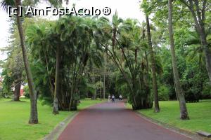 [P38] Insula Sao Miguel, Ponta Delgada, Jardim e Palácio de Sant'Ana » foto by mprofeanu
 - 
<span class="allrVoted glyphicon glyphicon-heart hidden" id="av979624"></span>
<a class="m-l-10 hidden" id="sv979624" onclick="voting_Foto_DelVot(,979624,23160)" role="button">șterge vot <span class="glyphicon glyphicon-remove"></span></a>
<a id="v9979624" class=" c-red"  onclick="voting_Foto_SetVot(979624)" role="button"><span class="glyphicon glyphicon-heart-empty"></span> <b>LIKE</b> = Votează poza</a> <img class="hidden"  id="f979624W9" src="/imagini/loader.gif" border="0" /><span class="AjErrMes hidden" id="e979624ErM"></span>
